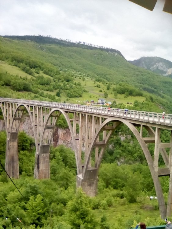 Изображение 056.jpg