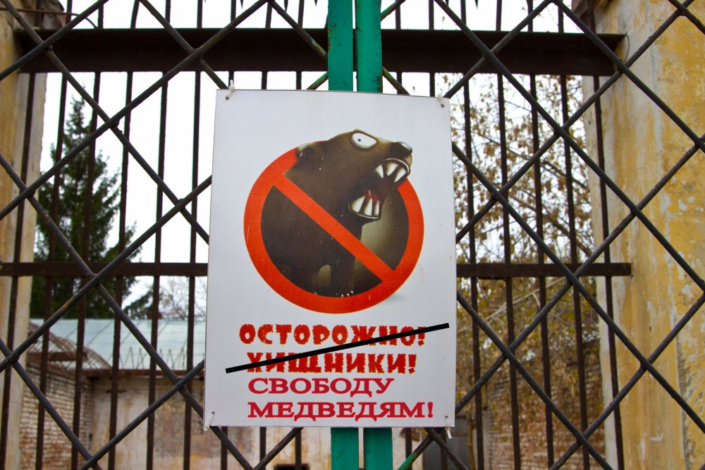 IMG_6693 Свободу медведям!.jpg