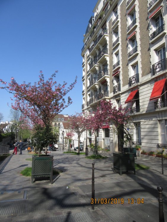 2019 Париж март 216.JPG