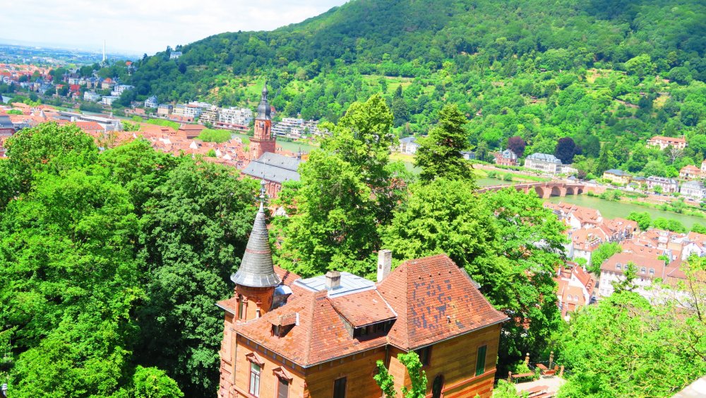 Солнечная Германия 130.jpg