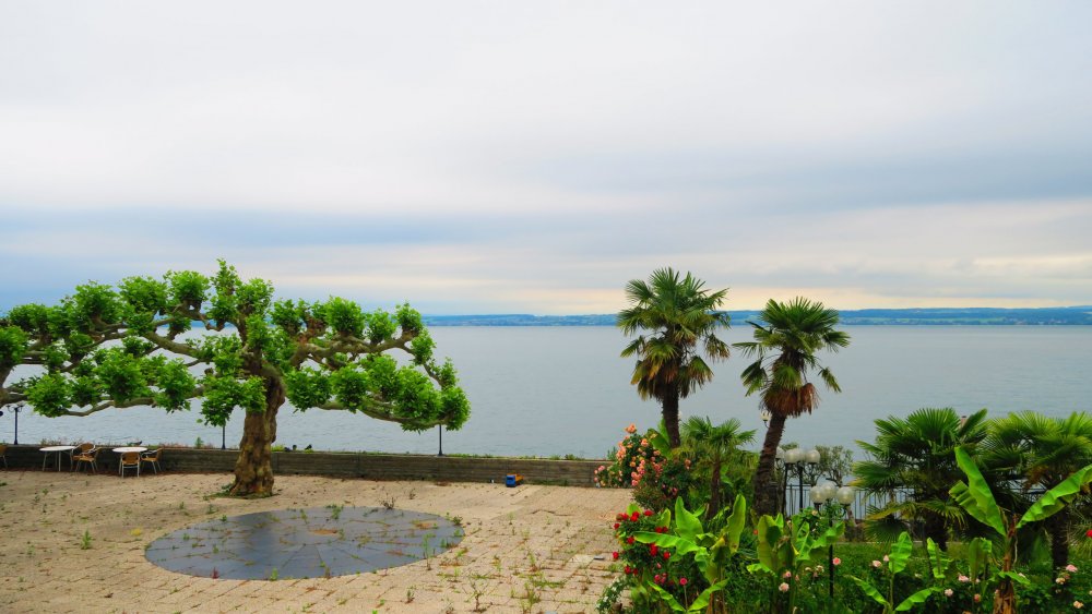 Солнечная Германия 579.jpg