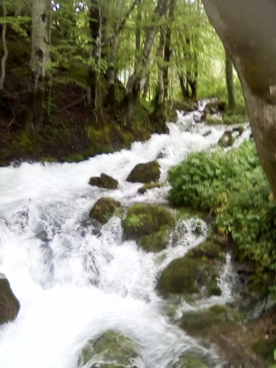 Изображение 052.jpg