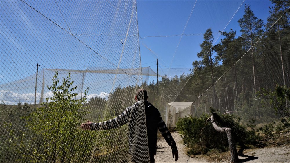 19.05.06_011_Куршская коса_Станция кольцевания птиц.JPG