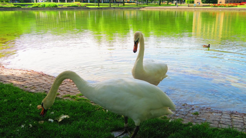 Солнечная Германия 226.jpg