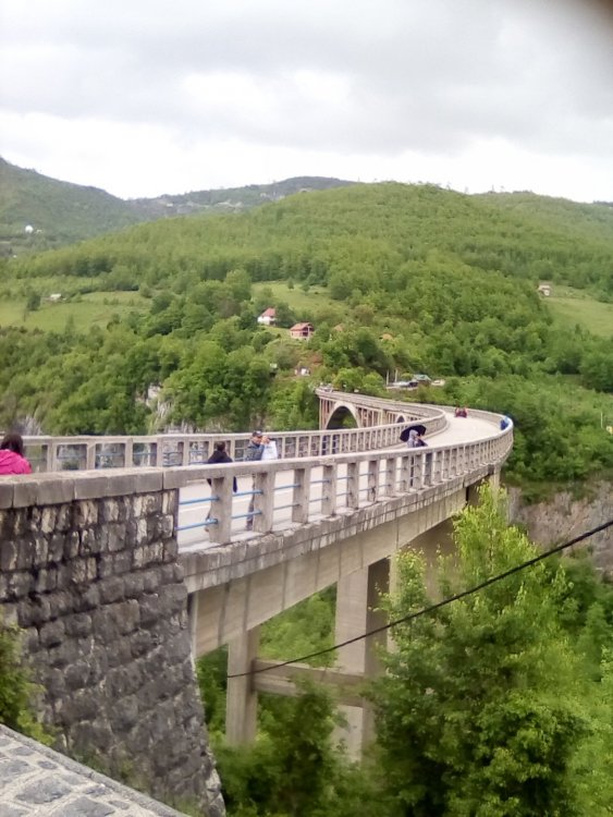 Изображение 061.jpg