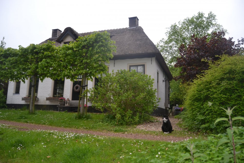 DSC_0755 — копия.JPG