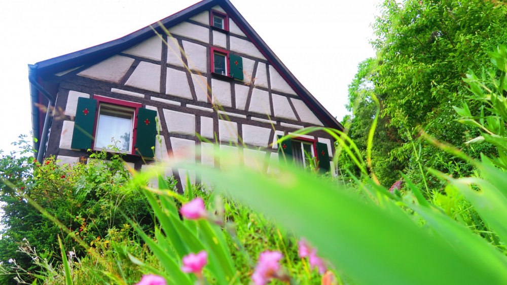 Солнечная Германия 697.jpg