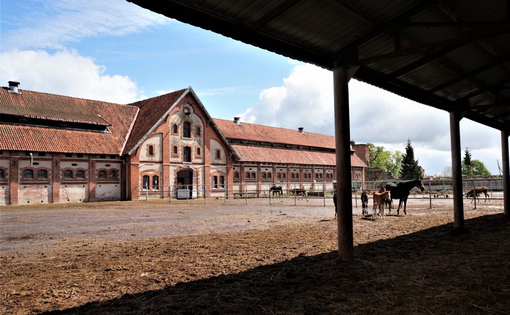 19.05.05_112_Черняховск_Конезавод Георгенбург.JPG