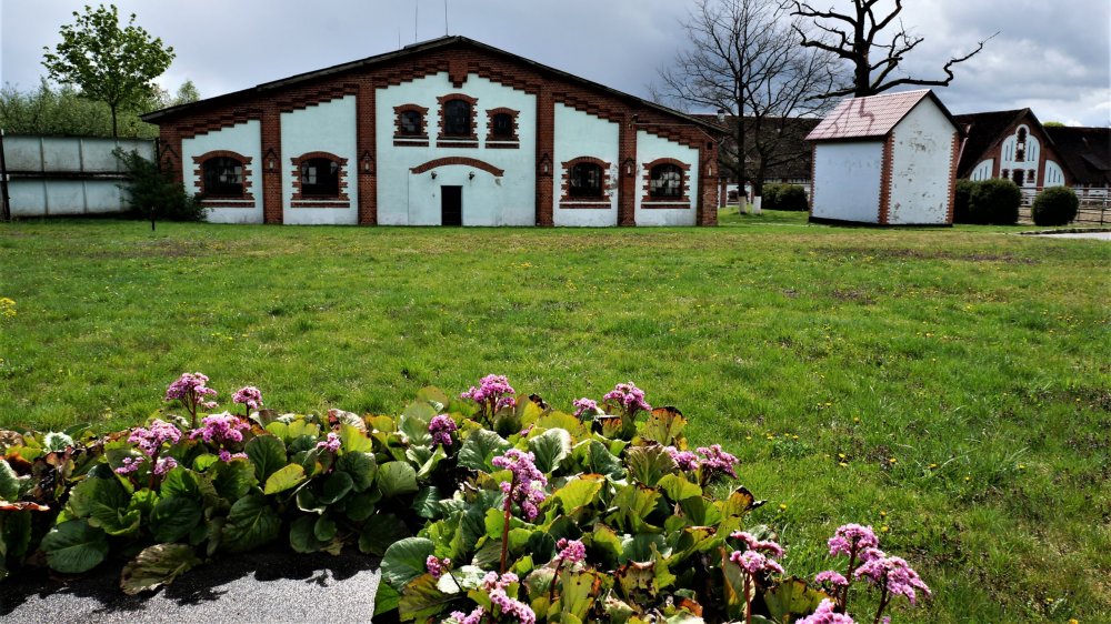 19.05.05_066_Черняховск_Конезавод Георгенбург.JPG