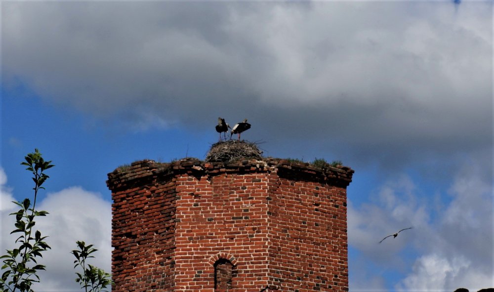 19.05.05_166_Черняховск_Замок Георгенбург.JPG