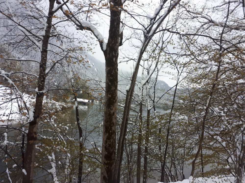 7. В окрестностях Баварских замков.jpg