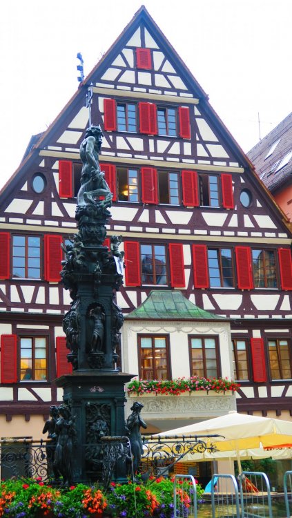 Солнечная Германия 600.jpg