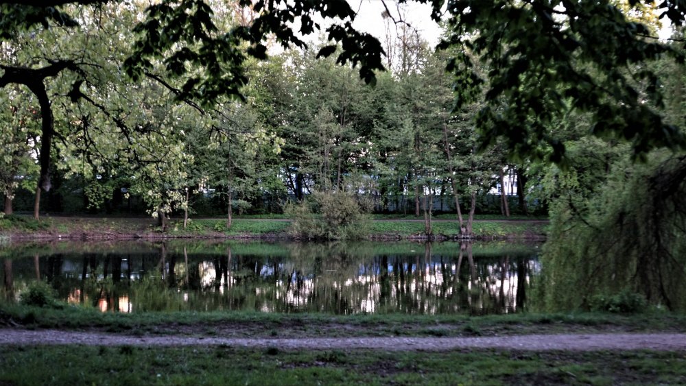 19.05.05_341_Калининград_Южный парк.JPG