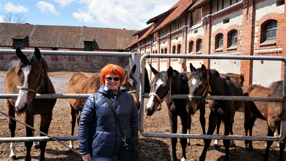 19.05.05_128_Черняховск_Конезавод Георгенбург.JPG