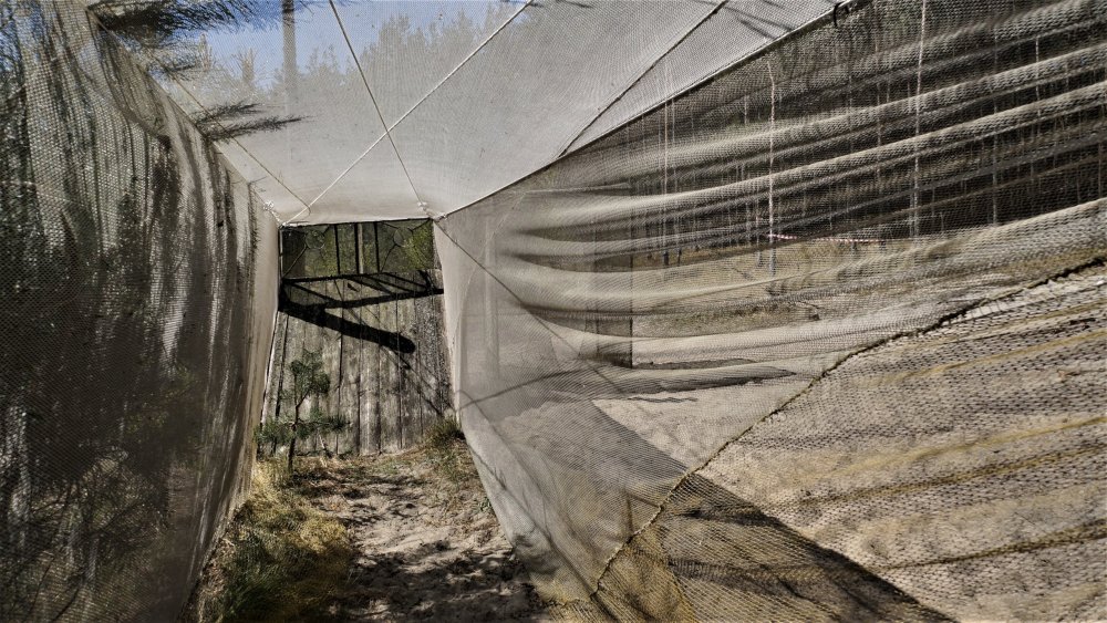 19.05.06_016_Куршская коса_Станция кольцевания птиц.JPG