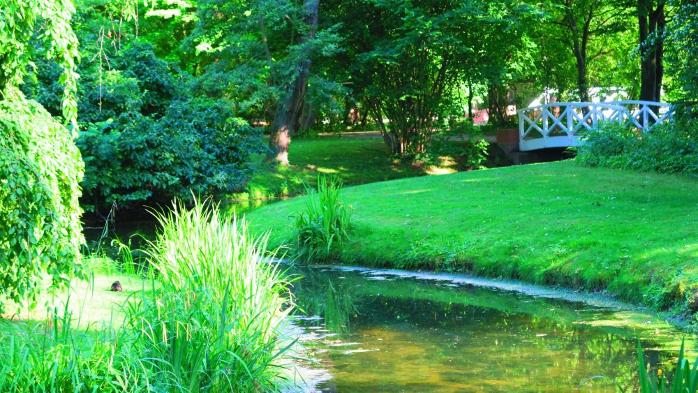 Солнечная Германия 212.jpg