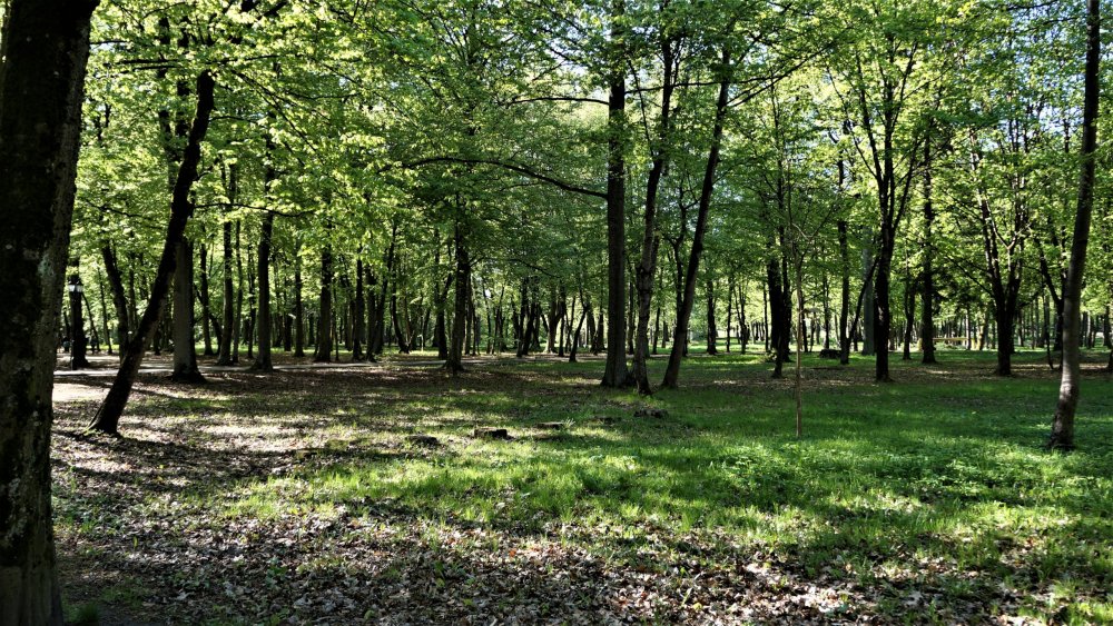 19.05.05_301_Советск_Городской парк Якобсруэ.JPG