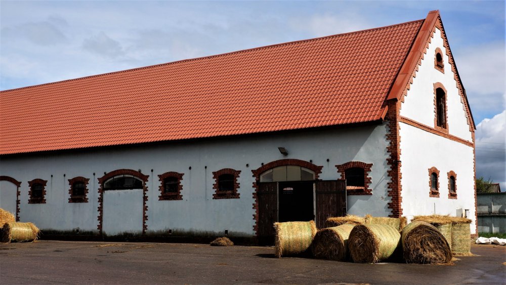 19.05.05_065_Черняховск_Конезавод Георгенбург.JPG