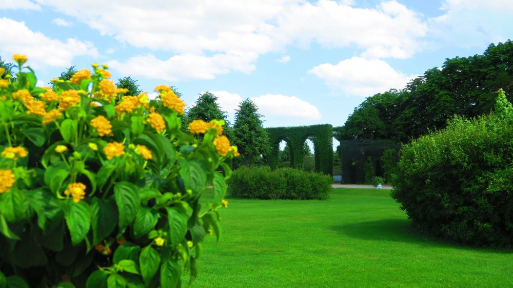 Солнечная Германия 183.jpg