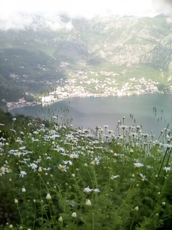 Изображение 076.jpg