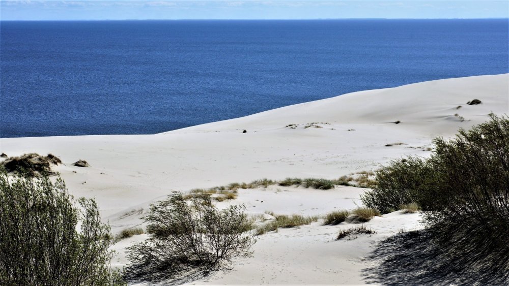 19.05.06_136_ Куршская коса_ Высота Эфа (дюна).JPG