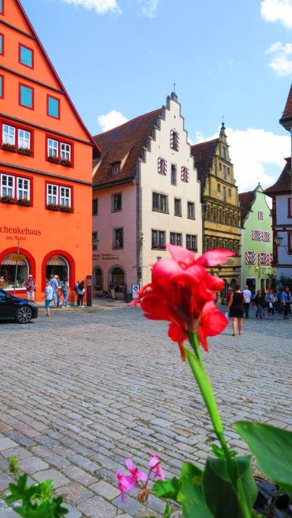 Солнечная Германия 800.jpg