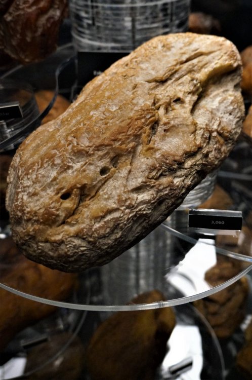 19.05.07_029_Янтарный_Музей янтаря.JPG