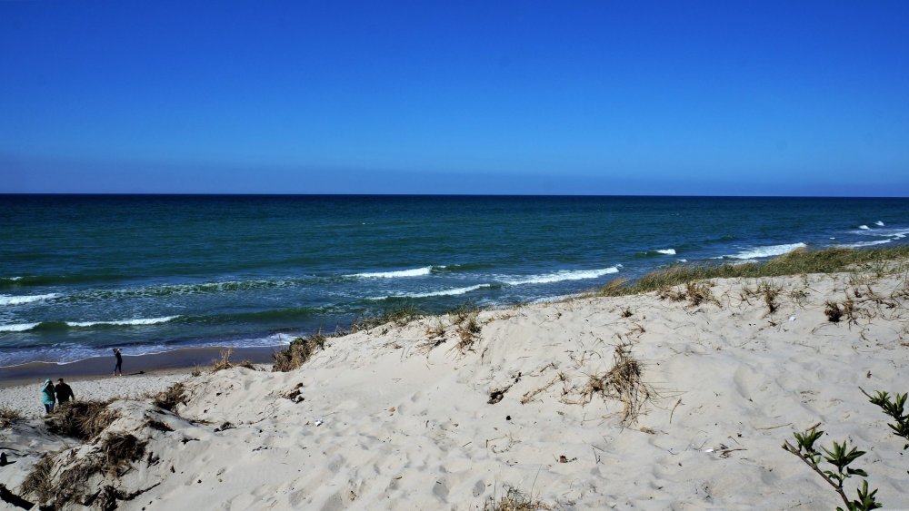 19.05.06_148_ Куршская коса_ Высота Эфа (дюна).JPG