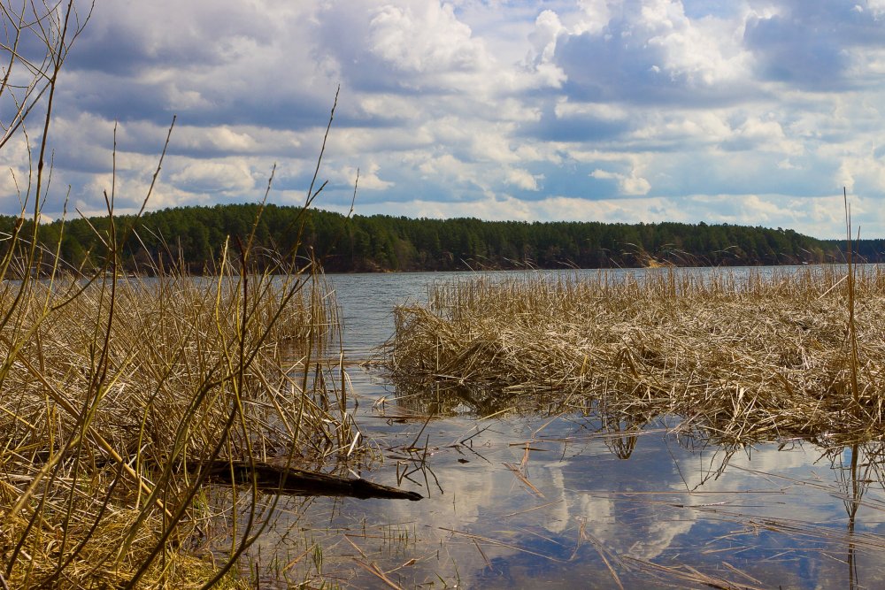 IMG_6887-1 Озеро Яльчик.jpg