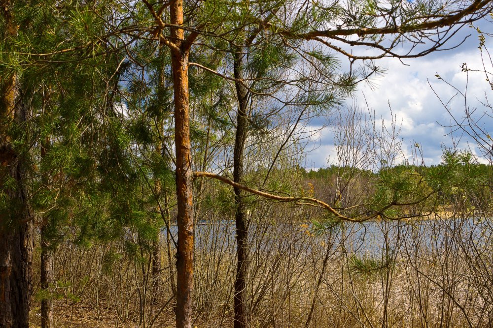 IMG_6894-1 Озеро Яльчик.jpg