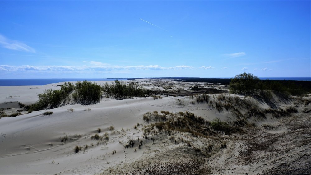 19.05.06_137_ Куршская коса_ Высота Эфа (дюна).JPG