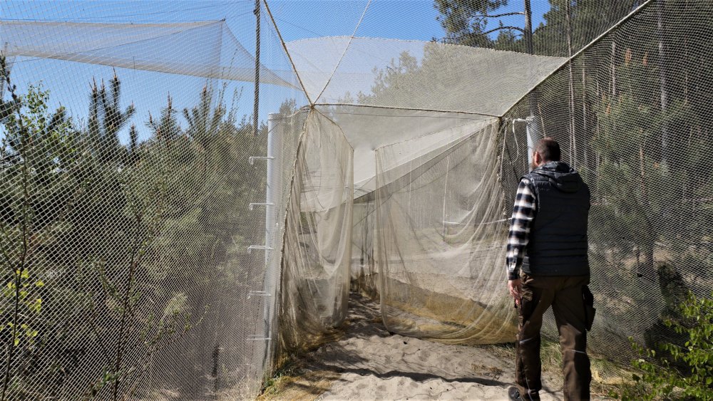 19.05.06_013_Куршская коса_Станция кольцевания птиц.JPG