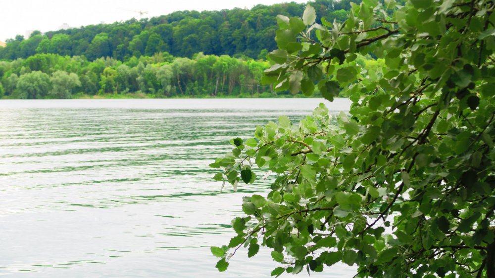 Солнечная Германия 519.jpg