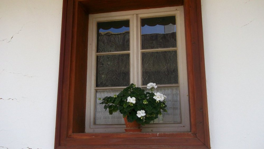 Золотые стёжки Чешского Рая 1978.JPG