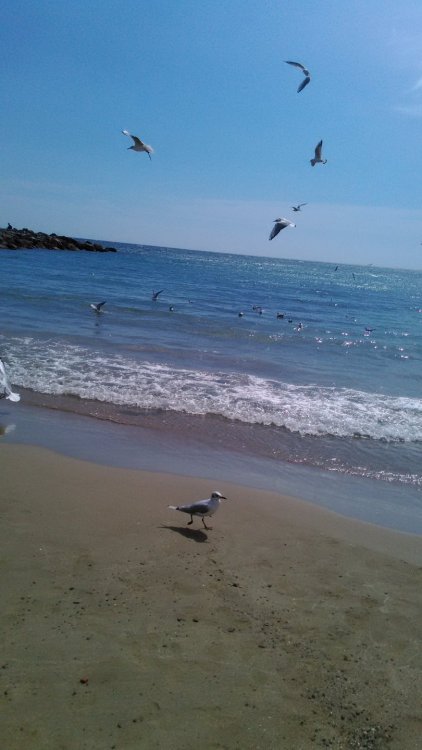 2015-09-12 13-12-19.JPG