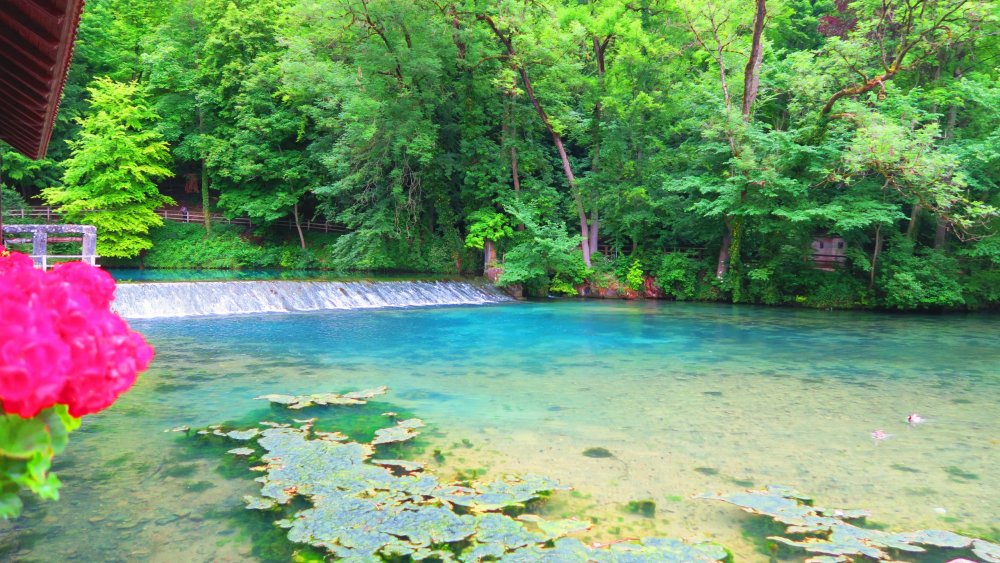 Солнечная Германия 685.jpg