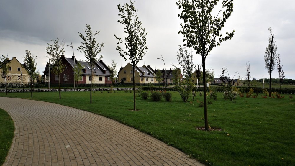 19.05.04_346_ Гусев.JPG