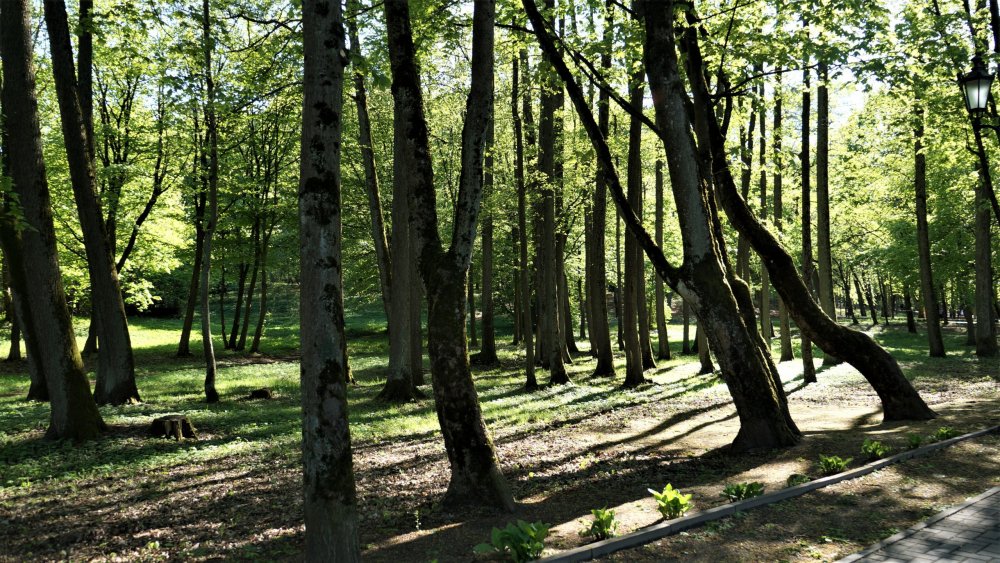 19.05.05_300_Советск_Городской парк Якобсруэ.JPG