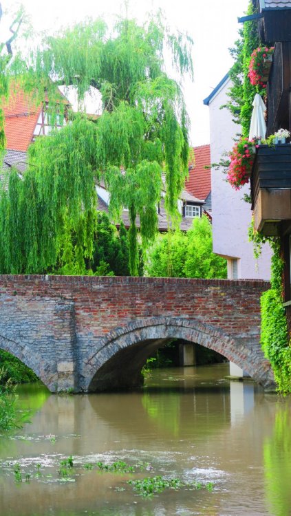 Солнечная Германия 669.jpg