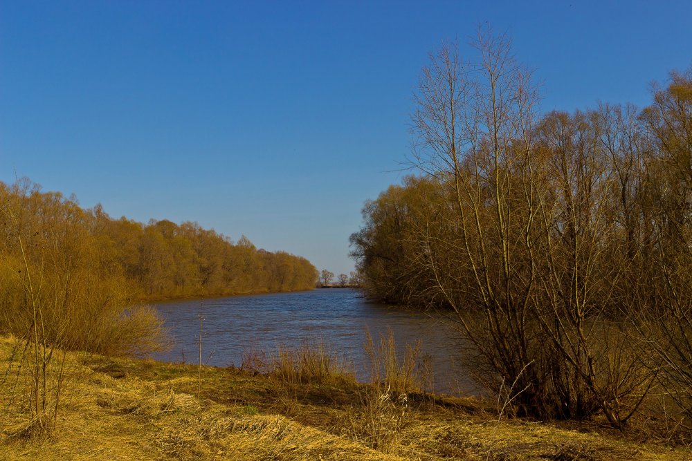 IMG_6534-1 Елабуга Река Тоймо.jpg