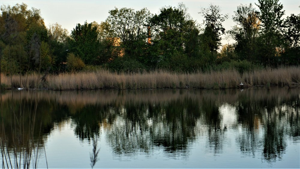 19.05.05_339_Калининград_Южный парк.JPG