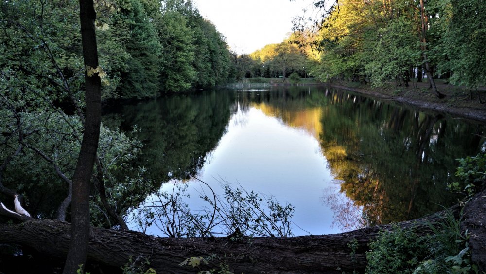 19.05.05_329_Калининград_Южный парк.JPG