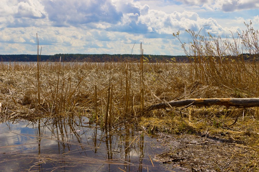 IMG_6888-1 Озеро Яльчик.jpg