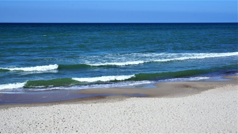 19.05.06_151_ Куршская коса_ Высота Эфа (дюна).JPG