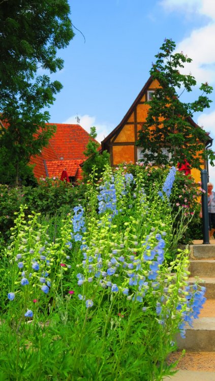 Солнечная Германия 061.jpg