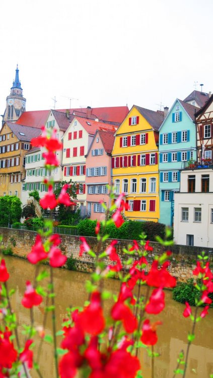 Солнечная Германия 588.jpg