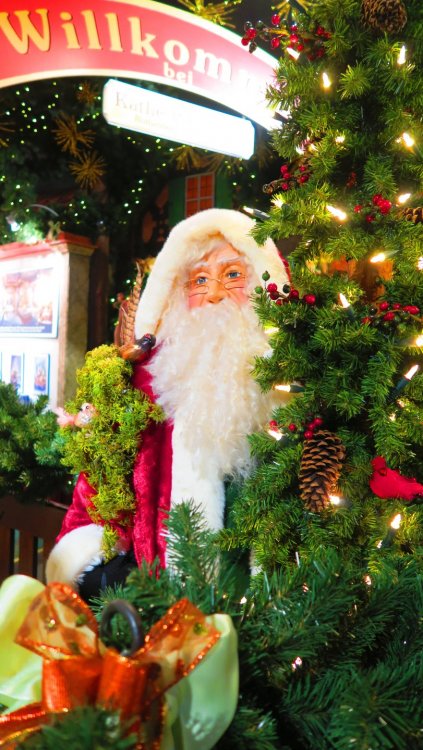 Солнечная Германия 821.jpg