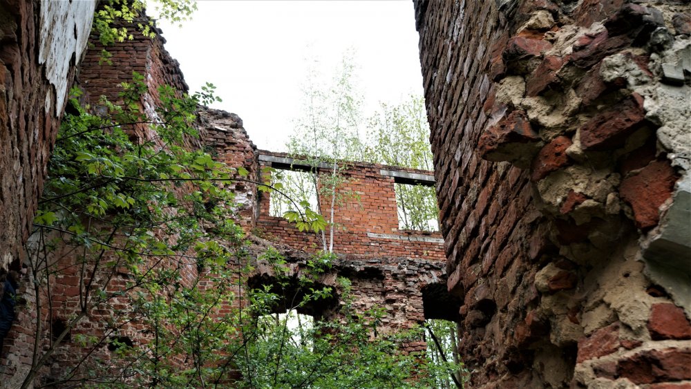 19.05.04_274_Железнодорожный _Замок Гердауэн.JPG