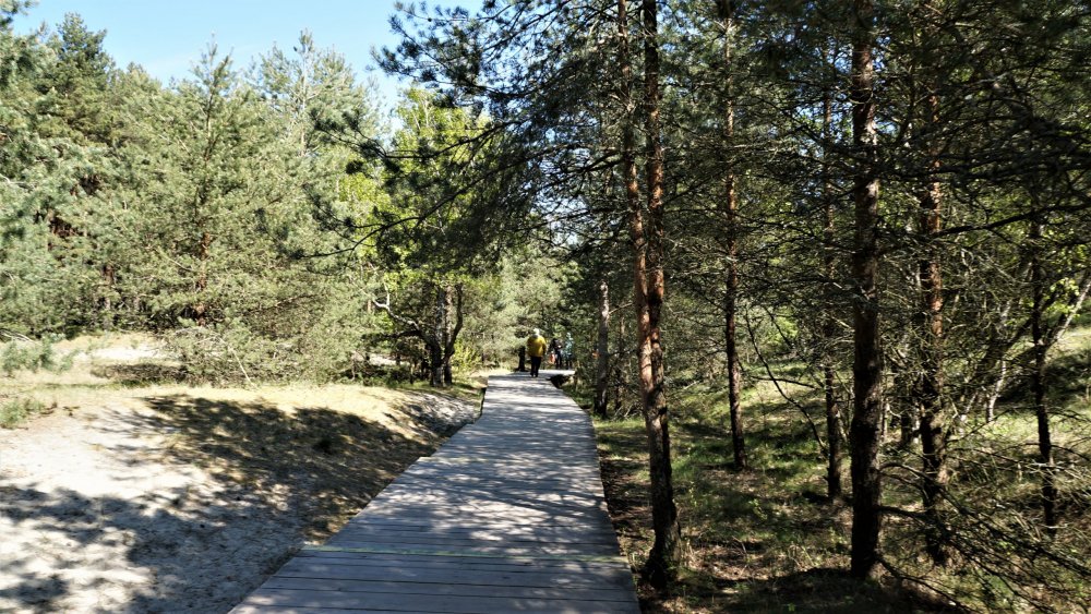 19.05.06_129_ Куршская коса_ Высота Эфа (дюна).JPG