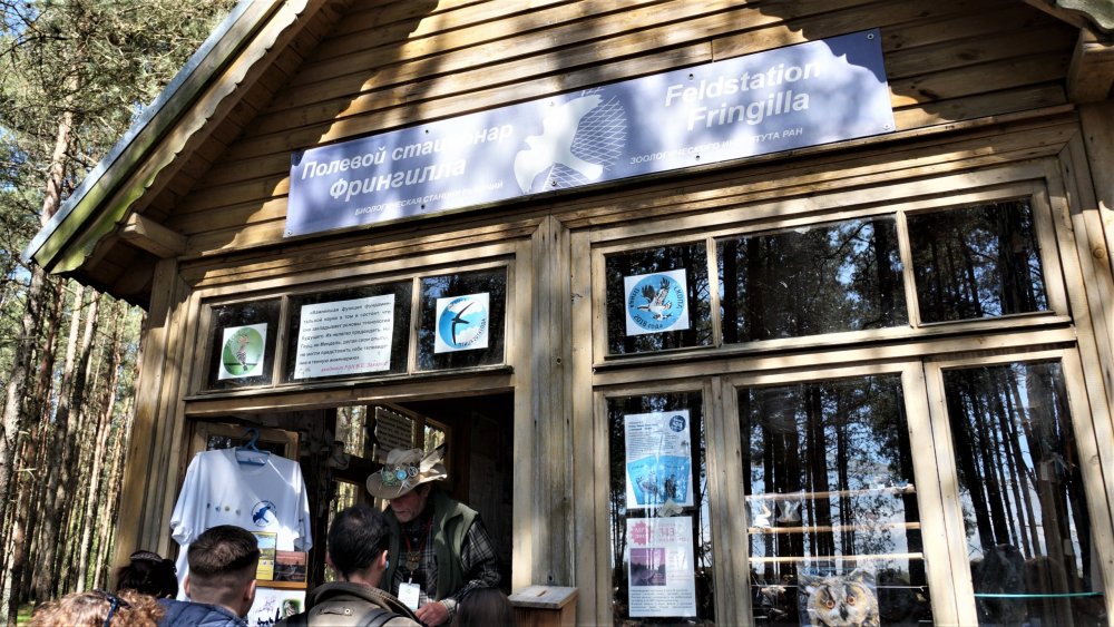 19.05.06_020_Куршская коса_Станция кольцевания птиц.JPG